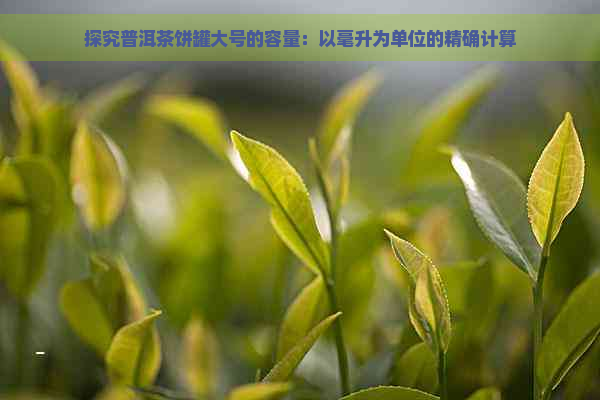 探究普洱茶饼罐大号的容量：以毫升为单位的精确计算