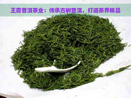 王霞普洱茶业：传承古树普洱，打造茶界精品