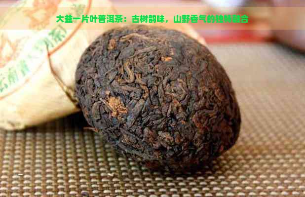 大益一片叶普洱茶：古树韵味，山野香气的独特融合