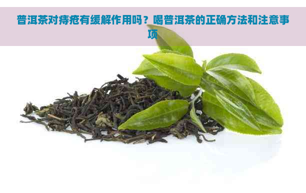 普洱茶对痔疮有缓解作用吗？喝普洱茶的正确方法和注意事项