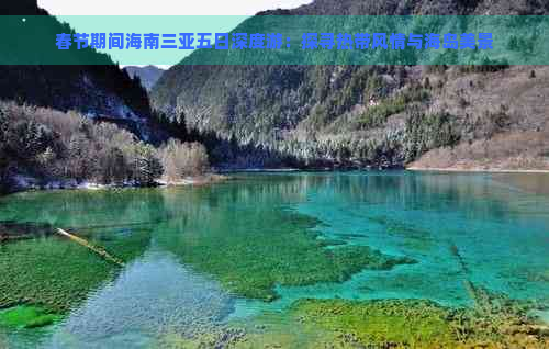 春节期间海南三亚五日深度游：探寻热带风情与海岛美景