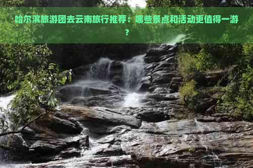 哈尔滨旅游团去云南旅行推荐：哪些景点和活动更值得一游？