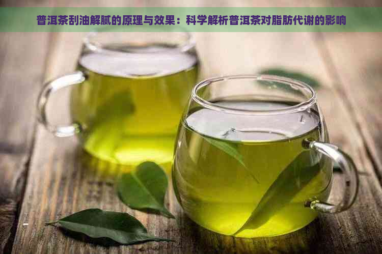 普洱茶刮油解腻的原理与效果：科学解析普洱茶对脂肪代谢的影响