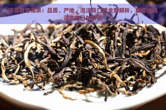 顺意牌普洱茶：品质、产地、泡法及口感全面解析，助您挑选适合自己的好茶