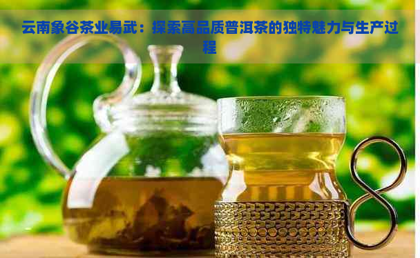 云南象谷茶业易武：探索高品质普洱茶的独特魅力与生产过程