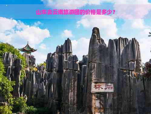 山东去云南旅游团的价格是多少？