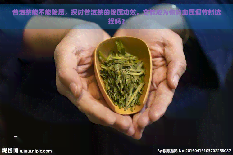 普洱茶能不能降压，探讨普洱茶的降压功效，它能成为你的血压调节新选择吗？