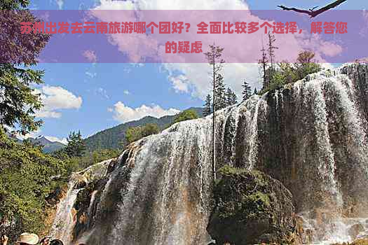 苏州出发去云南旅游哪个团好？全面比较多个选择，解答您的疑虑