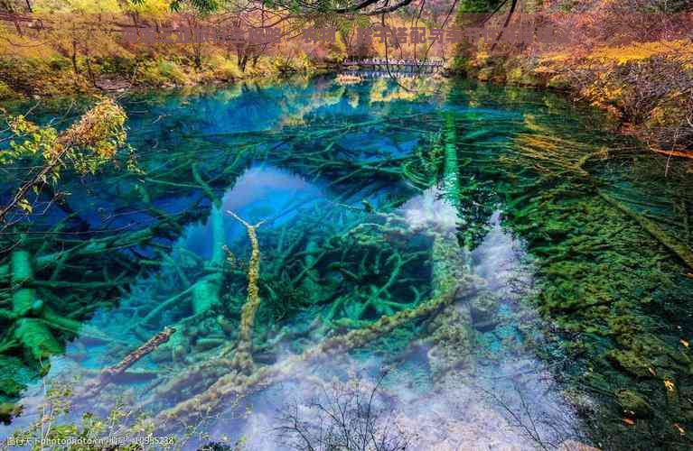 海南三亚旅行全攻略：衣物、鞋子搭配与季节性穿搭建议