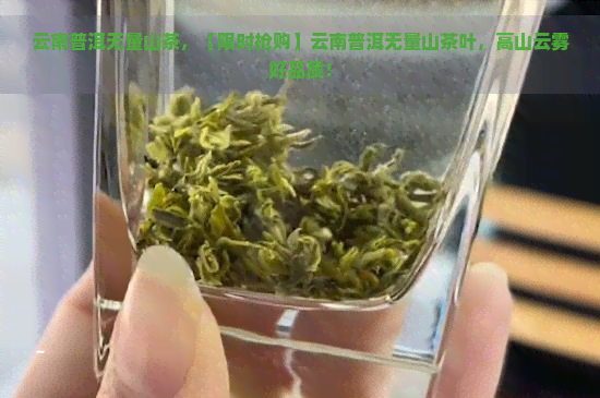 云南普洱无量山茶，【限时抢购】云南普洱无量山茶叶，高山云雾好品质！