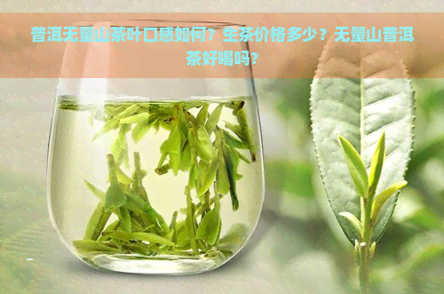 普洱无量山茶叶口感如何？生茶价格多少？无量山普洱茶好喝吗？