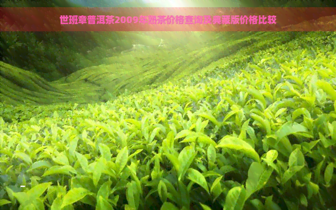 世班章普洱茶2009年熟茶价格查询及典藏版价格比较