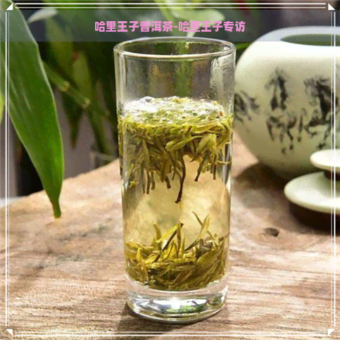 哈里王子普洱茶-哈里王子专访