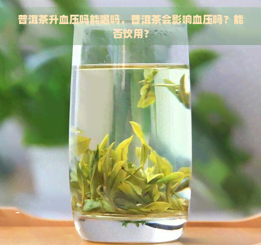 普洱茶升血压吗能喝吗，普洱茶会影响血压吗？能否饮用？