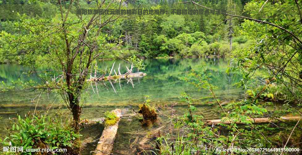 南阳旅游团在云南的精彩目的地推荐：不容错过的景点与活动