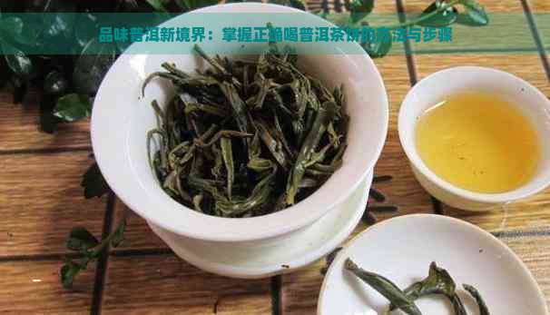 品味普洱新境界：掌握正确喝普洱茶饼的方法与步骤