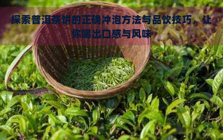 探索普洱茶饼的正确冲泡方法与品饮技巧，让你喝出口感与风味