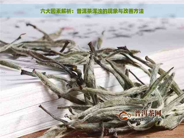 六大因素解析：普洱茶浑浊的现象与改善方法