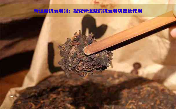 普洱茶抗衰老吗：探究普洱茶的抗衰老功效及作用