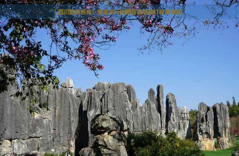 四川旅游热线：专业旅行线路咨询与预订服务电话