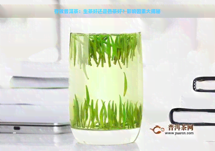 存放普洱茶：生茶好还是熟茶好？影响因素大揭秘