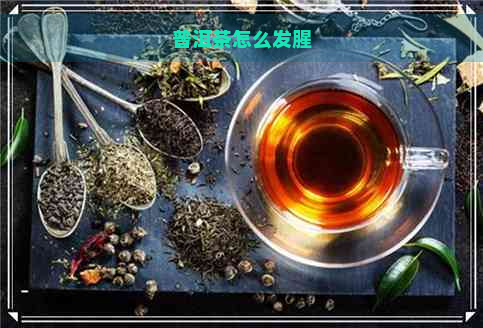 普洱茶怎么发腥