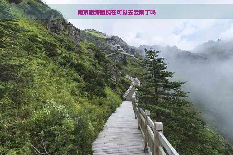 南京旅游团现在可以去云南了吗