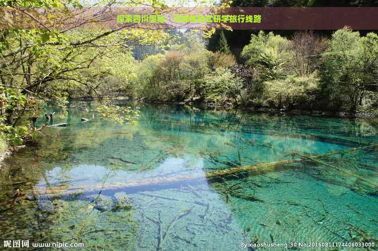 探索四川奥秘：深度体验式研学旅行线路