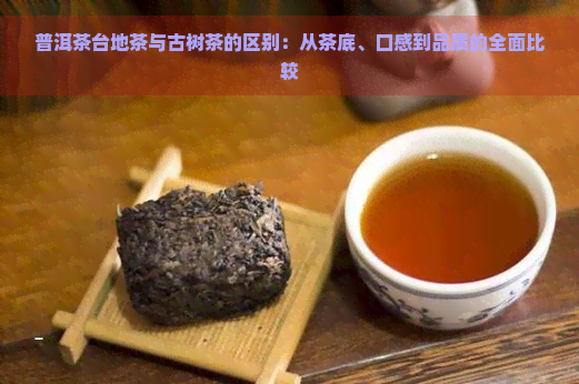 普洱茶台地茶与古树茶的区别：从茶底、口感到品质的全面比较