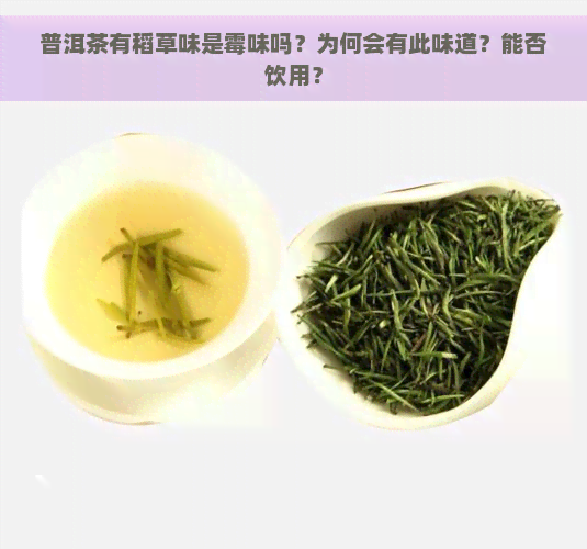 普洱茶有稻草味是霉味吗？为何会有此味道？能否饮用？