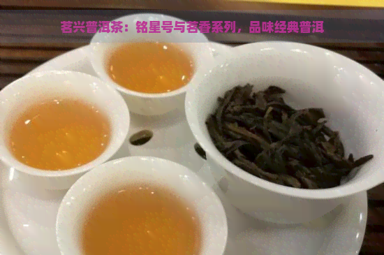 茗兴普洱茶：铭星号与茗香系列，品味经典普洱