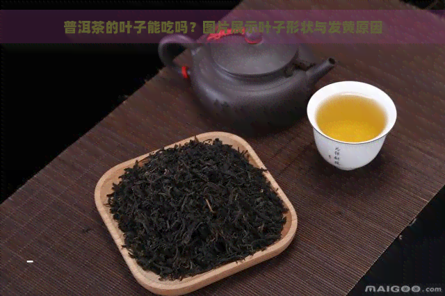 普洱茶的叶子能吃吗？图片展示叶子形状与发黄原因