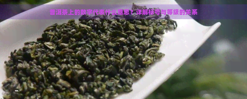 普洱茶上的数字代表什么意思？详解标号与等级的关系