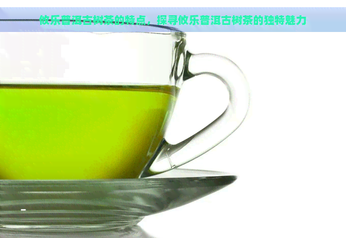 攸乐普洱古树茶的特点，探寻攸乐普洱古树茶的独特魅力