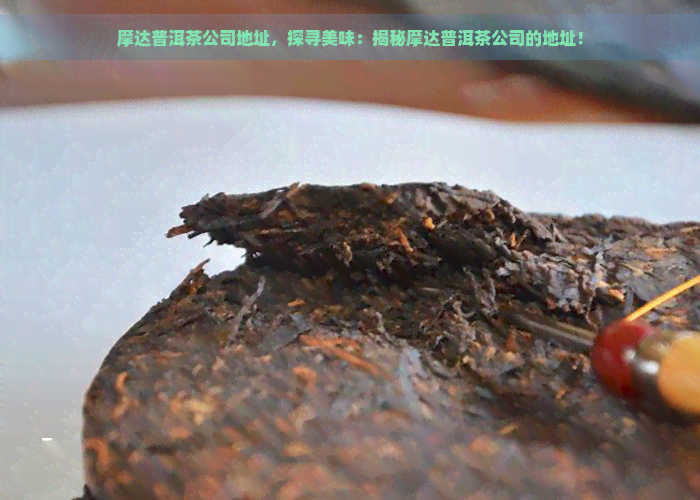 摩达普洱茶公司地址，探寻美味：揭秘摩达普洱茶公司的地址！