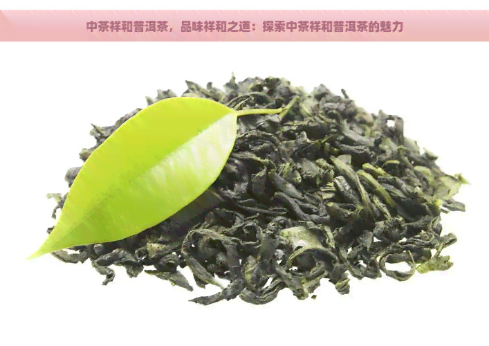 中茶祥和普洱茶，品味祥和之道：探索中茶祥和普洱茶的魅力