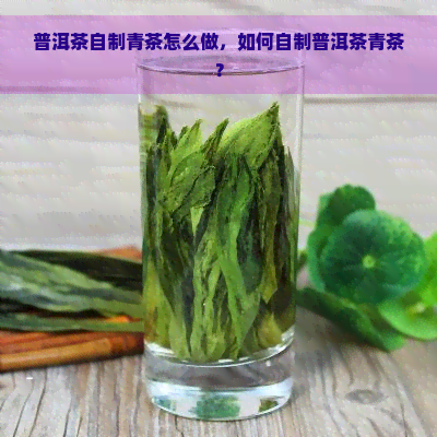 普洱茶自制青茶怎么做，如何自制普洱茶青茶？