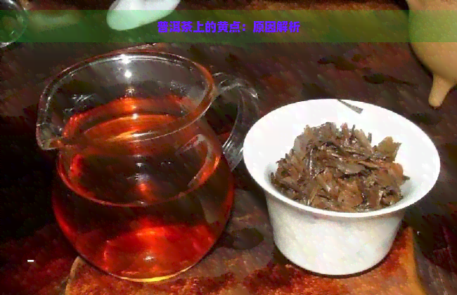 普洱茶上的黄点：原因解析