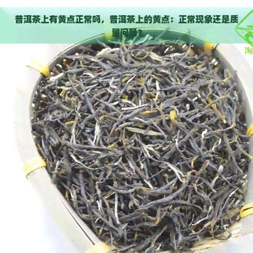 普洱茶上有黄点正常吗，普洱茶上的黄点：正常现象还是质量问题？