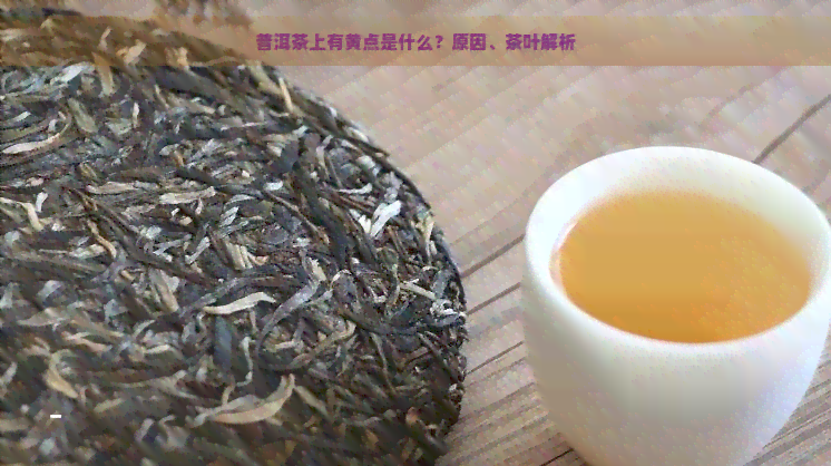 普洱茶上有黄点是什么？原因、茶叶解析