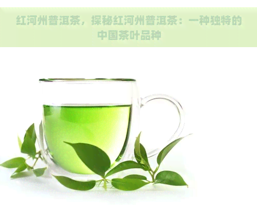 红河州普洱茶，探秘红河州普洱茶：一种独特的中国茶叶品种