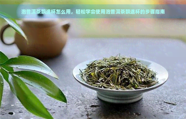 泡普洱茶飘逸杯怎么用，轻松学会使用泡普洱茶飘逸杯的步骤指南