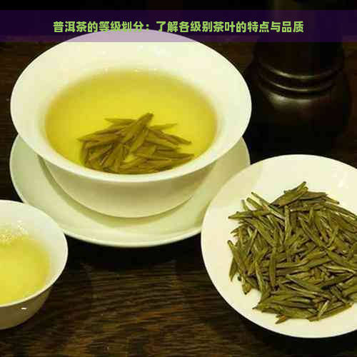 普洱茶的等级划分：了解各级别茶叶的特点与品质