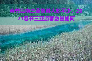 春节海南三亚旅游人多不少，2021春节三亚游客数量如何