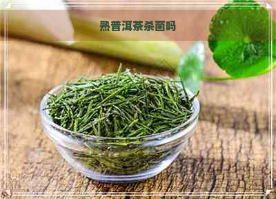 熟普洱茶杀菌吗