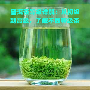 普洱茶等级详解：从初级到高级，了解不同等级茶叶的特点与品质