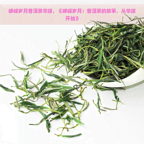 峥嵘岁月普洱茶华琼，《峥嵘岁月：普洱茶的故事，从华琼开始》