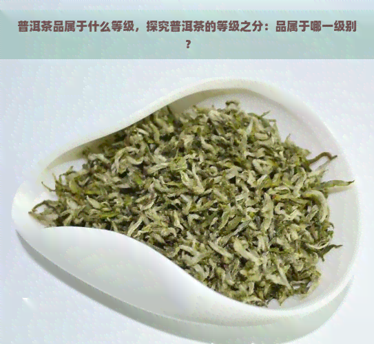 普洱茶品属于什么等级，探究普洱茶的等级之分：品属于哪一级别？