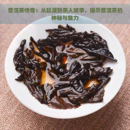 普洱茶传奇：从起源到茶人故事，揭示普洱茶的神秘与魅力