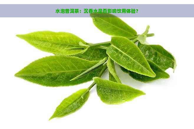 水泡普洱茶：沉香水是否影响饮用体验？